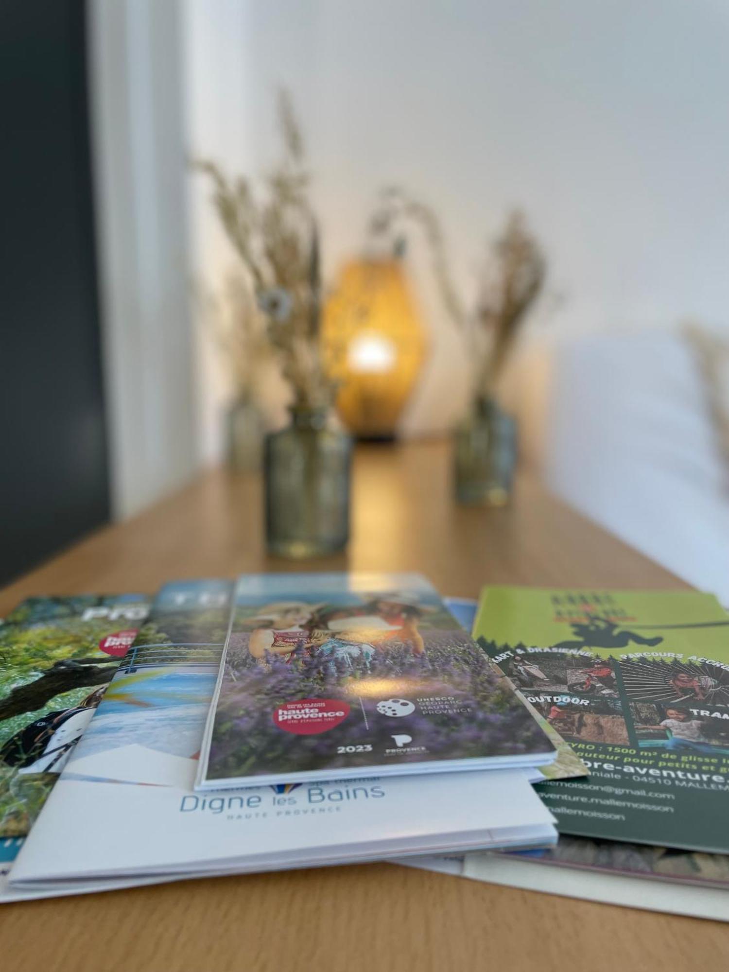 Spacieux Studio « Boheme » Digne-les-Bains Dış mekan fotoğraf
