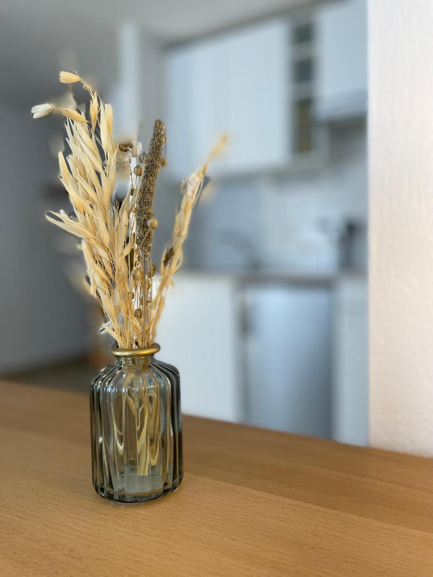 Spacieux Studio « Boheme » Digne-les-Bains Dış mekan fotoğraf